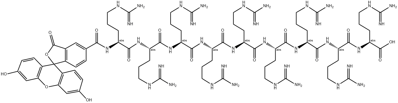 (ARG)9, FAM-LABELED Struktur