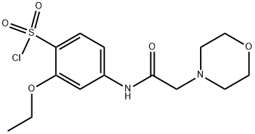 2-ETHOXY-4-(2-MORPHOLIN-4-YL-ACETYLAMINO)-BENZENESULFONYL CHLORIDE Struktur