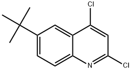 6-T-BUTYL-2,4-DICHLOROQUINOLINE Struktur