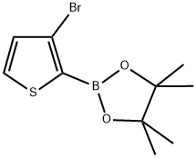 3-BROMOTHIOPHENE-2-BORONIC ACID PINACOL ESTER Struktur