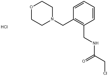 2-CHLORO-N-[2-(MORPHOLIN-4-YLMETHYL)BENZYL]ACETAMIDE HYDROCHLORIDE Struktur