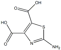 2-AMINOTHIAZOLE-4,5-DICARBOXYLIC ACID Struktur