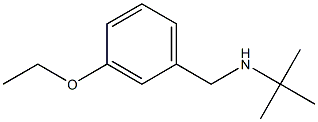 N-(3-ETHOXYBENZYL)-2-METHYLPROPAN-2-AMINE Struktur