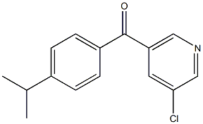 3-CHLORO-5-(4-ISOPROPYLBENZOYL)PYRIDINE Struktur