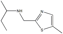 SEC-BUTYL-(5-METHYL-THIAZOL-2-YLMETHYL)-AMINE Struktur