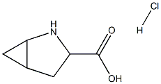 2-AZABICYCLO[3.1.0]HEXANE-3-CARBOXYLIC ACID HYDROCHLORIDE Struktur