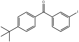 4-TERT-BUTYL-3'-IODOBENZOPHENONE Struktur