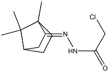 CHLORO-ACETIC ACID (1,7,7-TRIMETHYL-BICYCLO[2.2.1]HEPT-2-YLIDENE)-HYDRAZIDE Struktur