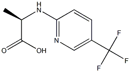 (2R)-2-[[5-(TRIFLUOROMETHYL)PYRIDIN-2-YL]AMINO]PROPANOIC ACID Struktur