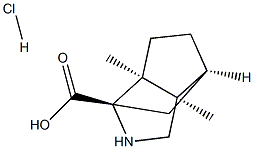 (1S,3S,6R,7S)-6,7-DIMETHYL-4-AZATRICYCLO[4.3.0.0(3,7)]NONANE-3-CARBOXYLIC ACID HYDROCHLORIDE Struktur