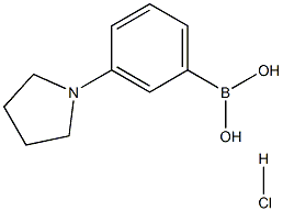 3-(1-PYRROLIDINO)PHENYLBORONIC ACID HCL Struktur