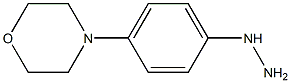 (4-MORPHOLIN-4-YL-PHENYL)-HYDRAZINE Struktur