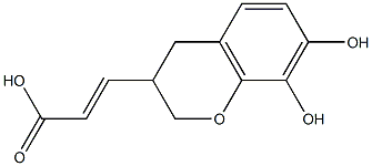 (2E)-3-(7,8-DIHYDROXY-3,4-DIHYDRO-2H-CHROMEN-3-YL)ACRYLIC ACID Struktur