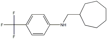 CYCLOHEPTYLMETHYL-(4-TRIFLUOROMETHYL-PHENYL)-AMINE Struktur