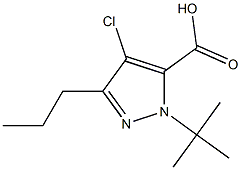 1-(TERT-BUTYL)-4-CHLORO-3-PROPYL-1H-PYRAZOLE-5-CARBOXYLIC ACID Struktur