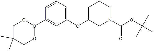 TERT-BUTYL 3-[3-(5,5-DIMETHYL-1,3,2-DIOXABORINAN-2-YL)PHENOXY]PIPERIDINE-1-CARBOXYLATE Struktur