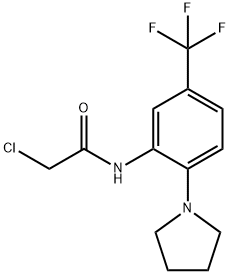 2-CHLORO-N-[2-PYRROLIDIN-1-YL-5-(TRIFLUOROMETHYL)PHENYL]ACETAMIDE Struktur