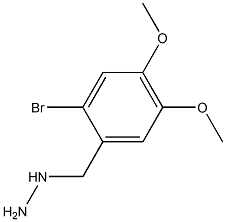 2-BROMO-4,5-DIMETHOXY-BENZYL-HYDRAZINE Struktur