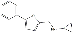 N-((5-PHENYL-2-FURYL)METHYL)CYCLOPROPANAMINE Struktur