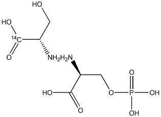 O-PHOSPHO-L-SERINE, [SERINE-1-14C] Struktur