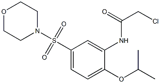 2-CHLORO-N-[2-ISOPROPOXY-5-(MORPHOLIN-4-YLSULFONYL)PHENYL]ACETAMIDE Struktur