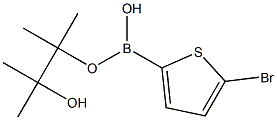 2-BROMOTHIOPHENE-5-BORONIC ACID PINACOL ESTER Struktur