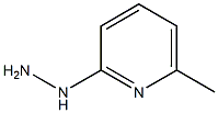 (6-METHYL-PYRIDIN-2-YL)-HYDRAZINE Struktur