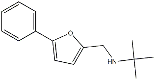 2-METHYL-N-((5-PHENYL-2-FURYL)METHYL)PROPAN-2-AMINE Struktur