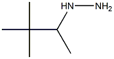 (1,2,2-TRIMETHYL-PROPYL)-HYDRAZINE Struktur