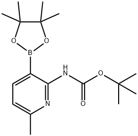 2-TERT-BUTYLOXYCARBONYLAMINO-6-METHYLPYRIDINE-3-BORONIC ACID PINACOL ESTER Struktur