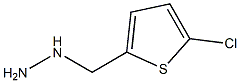 (5-CHLORO-THIOPHEN-2-YLMETHYL)-HYDRAZINE Struktur