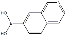 ISOQUINOLIN-7-YLBORONIC ACID Struktur