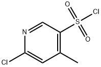 6-CHLORO-4-METHYLPYRIDINE-3-SULFONYL CHLORIDE Struktur