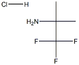 2,2,2-TRIFLUORO-1,1-DIMETHYL-ETHYLAMINE HYDROCHLORIDE Struktur