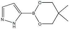 5-(5,5-DIMETHYL-1,3,2-DIOXABORINAN-2-YL)-1H-PYRAZOLE Struktur