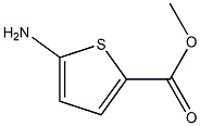 METHYL 5-AMINOTHIOPHENE-2-CARBOXYLATE Struktur