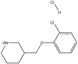 3-[(2-CHLOROPHENOXY)METHYL]PIPERIDINE HYDROCHLORIDE Struktur