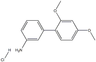 2',4'-DIMETHOXY-BIPHENYL-3-YLAMINE HYDROCHLORIDE Struktur