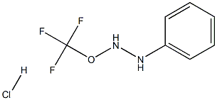 2-(TRIFLUOROMETHOXY)PHENYLHYDRAZINE HYDROCHLORIDE Struktur