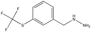 (3-TRIFLUOROMETHYLSULFANYL-BENZYL)-HYDRAZINE Struktur