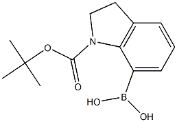 N-BOC-INDOLINE-7-BORONIC ACID Struktur