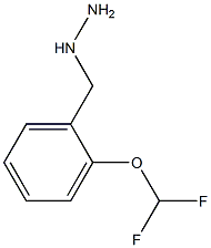 (2-DIFLUOROMETHOXY-BENZYL)-HYDRAZINE Struktur