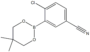 4-CHLORO-3-(5,5-DIMETHYL-1,3,2-DIOXABORINAN-2-YL)BENZONITRILE Struktur