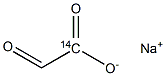 GLYOXYLIC ACID, [1-14C] SODIUM SALT Struktur