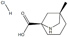 (1S,5R)-1-METHYL-6-AZABICYCLO[3.2.1]OCTANE-5-CARBOXYLIC ACID HYDROCHLORIDE Struktur