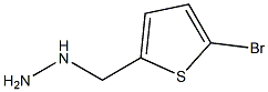 (5-BROMO-THIOPHEN-2-YLMETHYL)-HYDRAZINE Struktur