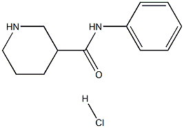 N-PHENYLPIPERIDINE-3-CARBOXAMIDE HYDROCHLORIDE Struktur