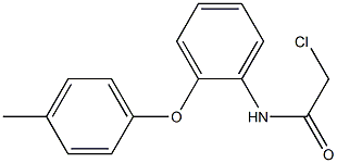 2-CHLORO-N-[2-(4-METHYLPHENOXY)PHENYL]ACETAMIDE Struktur