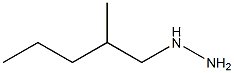 (2-METHYL-PENTYL)-HYDRAZINE Struktur