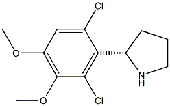 2-((2S)PYRROLIDIN-2-YL)-1,3-DICHLORO-4,5-DIMETHOXYBENZENE Struktur